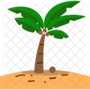 Coqueiro Coco Verao Icon