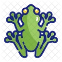 Coqui frog  Icon