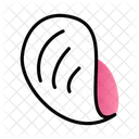 Coquillage Coquillage Mer Icon