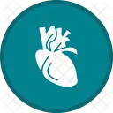 Coracao Saude Medico Ícone