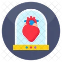 Coração  Icon