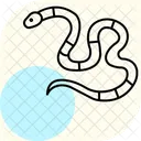 Serpent Corail Serpent Corail Reptile Icône