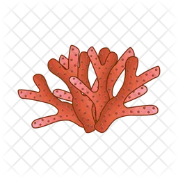 Coral  Icon