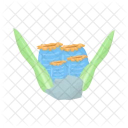 Coral  Icon
