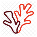 Coral  Icon