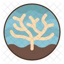 Coral  Icon