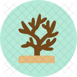 Coral  Icon