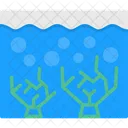 Coral Diving Reef Icon