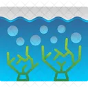 Coral Diving Reef Icon