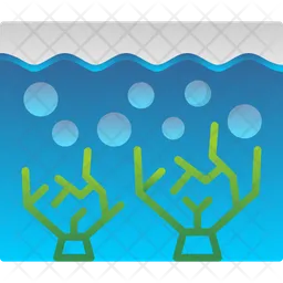 Coral  Icon