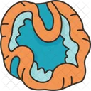 Coral Brain Reef Icon