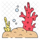 Coral Coral Reef Reef Icon