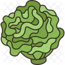 Coral Lettuce Leaf Icon