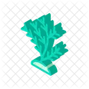 Aquatico Coral Isometrico Icon