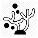 Coral Bleaching Ocean Marine Biodiversity Icon