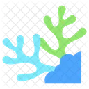Coral Bleaching  Icon