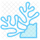 Coral Bleaching  Icon