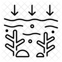Coral Bleaching  Icon