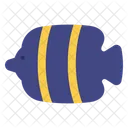 Coral Fish  Icon