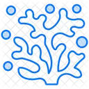 Coral  Icon