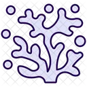 Coral  Icon