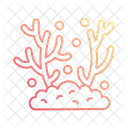 Coral  Icon