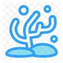 Coral  Icon