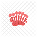 Coral Reef Undersea Icon