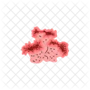 Coral Reef Undersea Icon