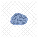 Coral Reef Undersea Icon