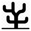 Coral  Icon