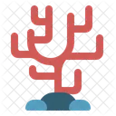 Coral  Icon