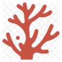 Coral  Icon