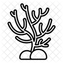 Coral  Icon