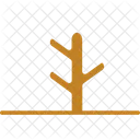 Coral  Icon