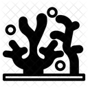 Coral reef  Icon