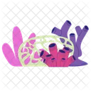 Coral Reefs  Icon