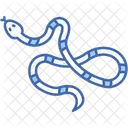 Coral snake  Icon