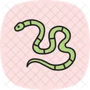 Coral Snake Coralsnake Reptile Icon