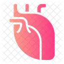 Corazon Anatomia Organo Icono