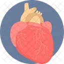 Corazon Medicina Medicina Icon