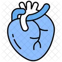 Corazón  Icon