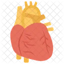 Cardiologia Corazon Organo Icono