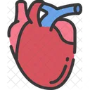 Corazon Organos Cuidado De La Salud Icon