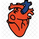 Corazon Cuerpo Organo Icon