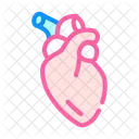 Corazon Humano Organo Icono