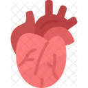 Corazon Cardiologia Arteria Icono