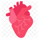 Corazon Cardiologia Salud Del Corazon Icono