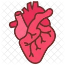 Corazon Cardiologia Salud Del Corazon Icono