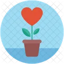 Corazon En Planta Icono